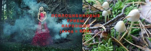 экстази Михайлов