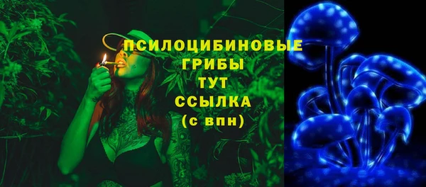 кокаин перу Дмитриев