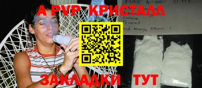 прущие грибы Кандалакша