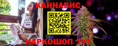 прущие грибы Кандалакша