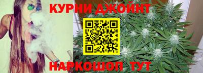 прущие грибы Кандалакша