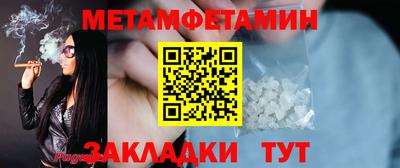 прущие грибы Кандалакша