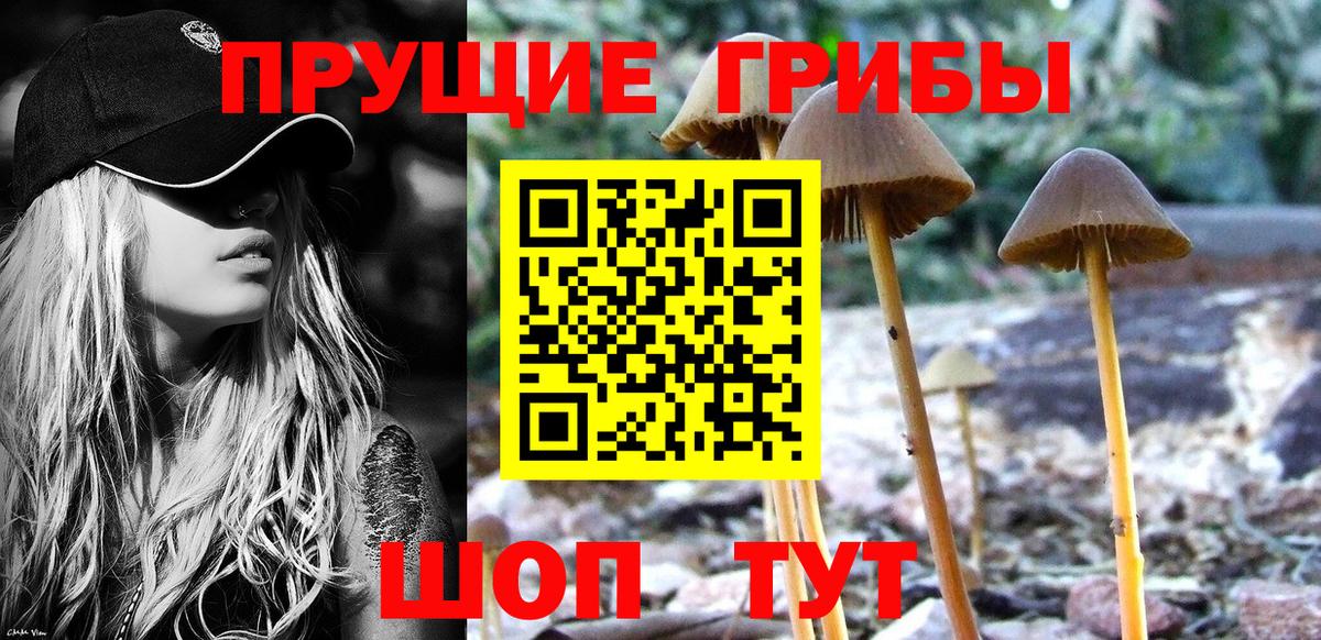 Пыть-Ях  Псилоцибиновые грибы Magic Shrooms  наркота  Вход с VPN 