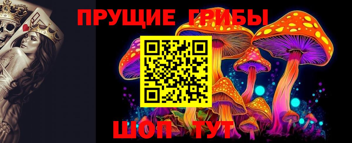 Галлюциногенные грибы Psilocybe  Галлюциногенные грибы GOLDEN TEACHER  Пыть-Ях 